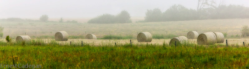 8-hay-bales