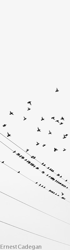 departure-14