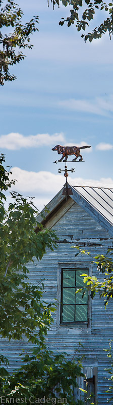 kims-weather-vane-2