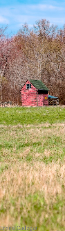 red-shed